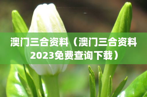 澳门三合资料（澳门三合资料2023免费查询下载）