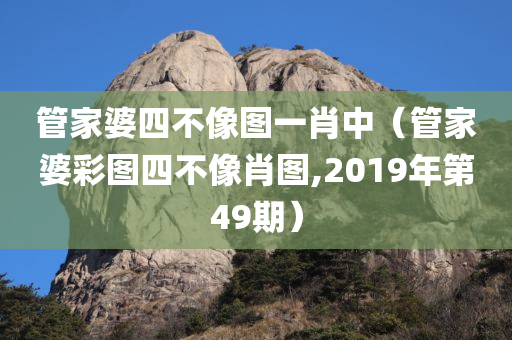 管家婆四不像图一肖中（管家婆彩图四不像肖图,2019年第49期）