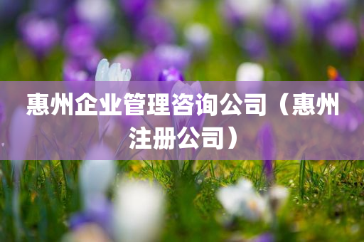 惠州企业管理咨询公司（惠州注册公司）