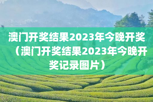 澳门开奖结果2023年今晚开奖（澳门开奖结果2023年今晚开奖记录图片）