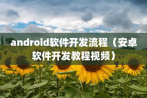 android软件开发流程（安卓软件开发教程视频）