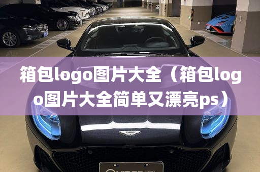 箱包logo图片大全（箱包logo图片大全简单又漂亮ps）