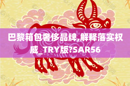 巴黎箱包奢侈品牌,解释落实权威_TRY版?SAR56