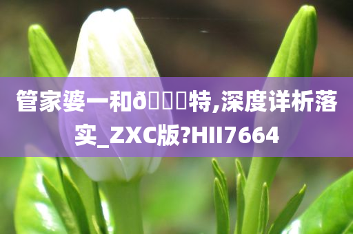 管家婆一和🀄特,深度详析落实_ZXC版?HII7664