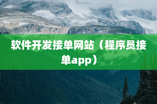 软件开发接单网站（程序员接单app）