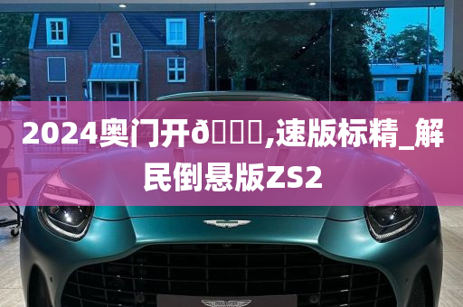 2024奥门开🐎,速版标精_解民倒悬版ZS2