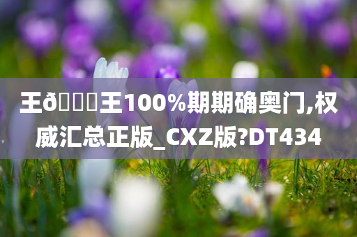 王🀄王100%期期确奥门,权威汇总正版_CXZ版?DT434