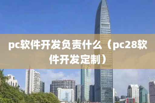 pc软件开发负责什么（pc28软件开发定制）