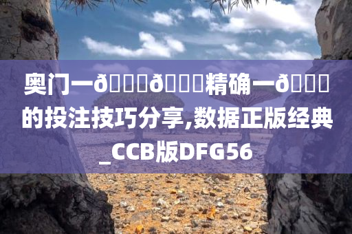 奥门一🐎🀄精确一🐎的投注技巧分享,数据正版经典_CCB版DFG56