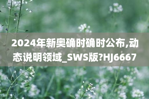 2024年新奥确时确时公布,动态说明领域_SWS版?HJ6667