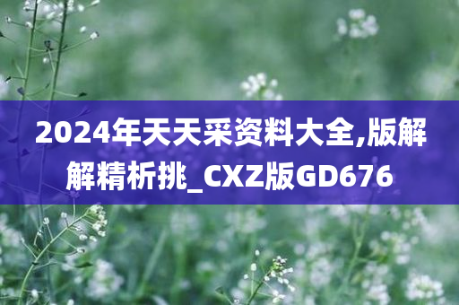 2024年天天采资料大全,版解解精析挑_CXZ版GD676