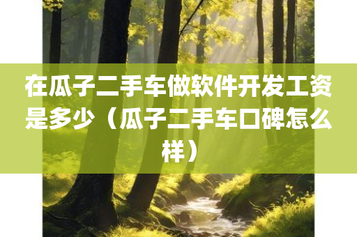 在瓜子二手车做软件开发工资是多少（瓜子二手车口碑怎么样）