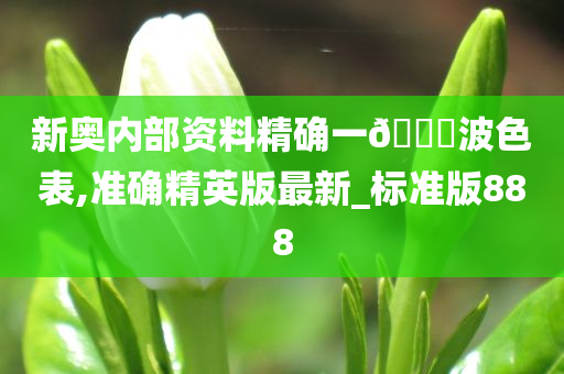 新奥内部资料精确一🐎波色表,准确精英版最新_标准版888