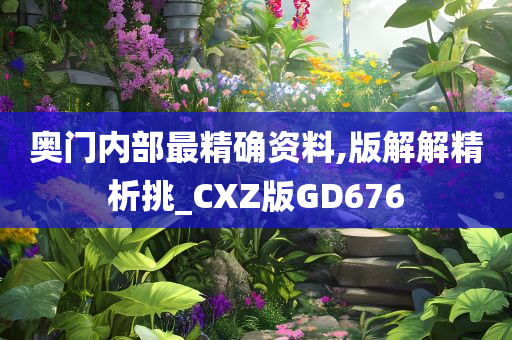 奥门内部最精确资料,版解解精析挑_CXZ版GD676