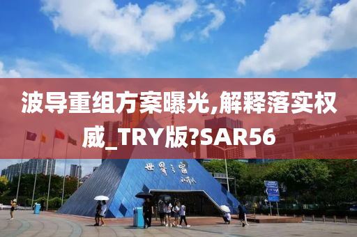 波导重组方案曝光,解释落实权威_TRY版?SAR56