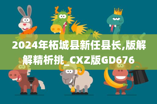 2024年柘城县新任县长,版解解精析挑_CXZ版GD676