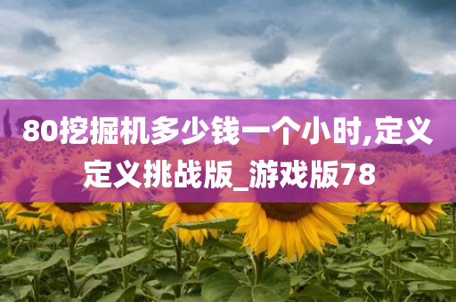 80挖掘机多少钱一个小时,定义定义挑战版_游戏版78