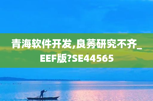 青海软件开发,良莠研究不齐_EEF版?SE44565