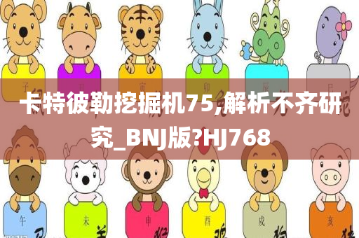 卡特彼勒挖掘机75,解析不齐研究_BNJ版?HJ768