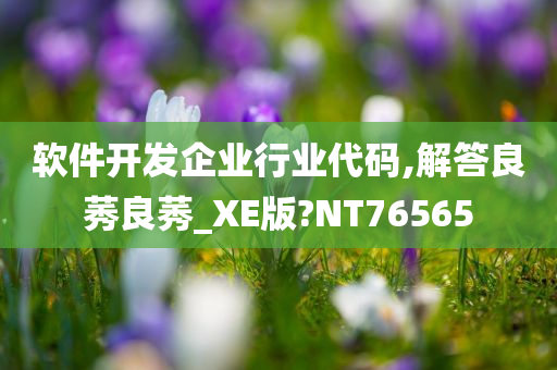 软件开发企业行业代码,解答良莠良莠_XE版?NT76565