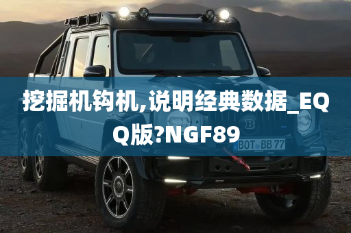 挖掘机钩机,说明经典数据_EQQ版?NGF89