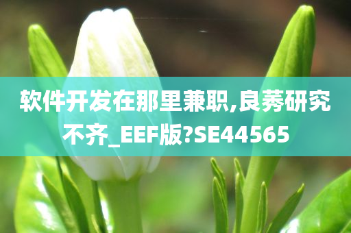 软件开发在那里兼职,良莠研究不齐_EEF版?SE44565