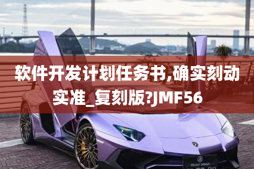 软件开发计划任务书,确实刻动实准_复刻版?JMF56