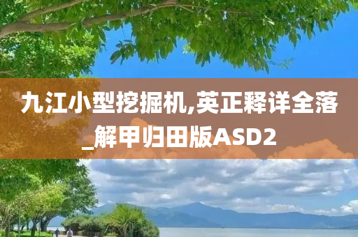 九江小型挖掘机,英正释详全落_解甲归田版ASD2