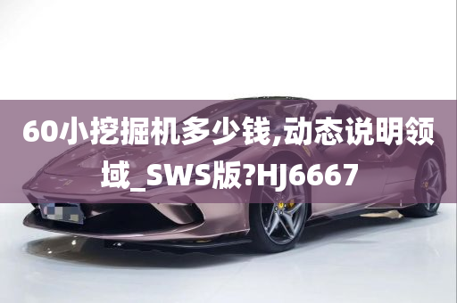 60小挖掘机多少钱,动态说明领域_SWS版?HJ6667