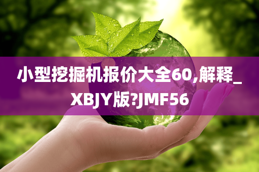 小型挖掘机报价大全60,解释_XBJY版?JMF56