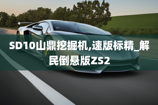 SD10山鼎挖掘机,速版标精_解民倒悬版ZS2