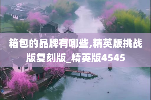 箱包的品牌有哪些,精英版挑战版复刻版_精英版4545