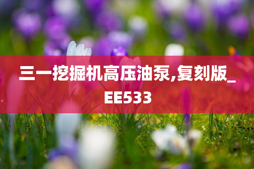 三一挖掘机高压油泵,复刻版_EE533