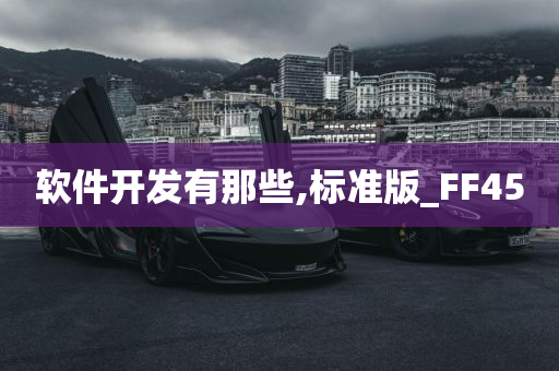 软件开发有那些,标准版_FF45