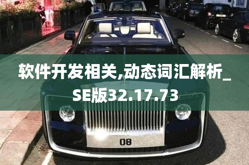 软件开发相关,动态词汇解析_SE版32.17.73