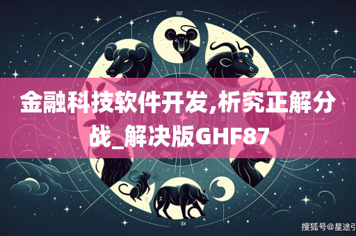 金融科技软件开发,析究正解分战_解决版GHF87