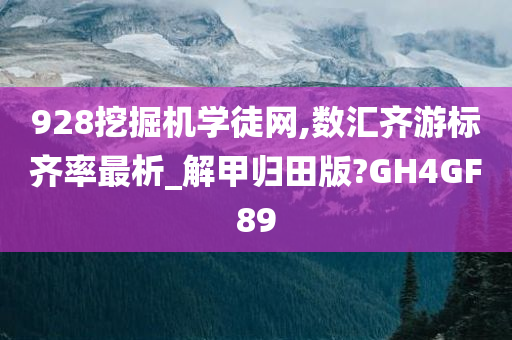 928挖掘机学徒网,数汇齐游标齐率最析_解甲归田版?GH4GF89