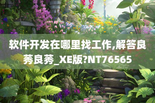 软件开发在哪里找工作,解答良莠良莠_XE版?NT76565