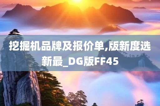 挖掘机品牌及报价单,版新度选新最_DG版FF45