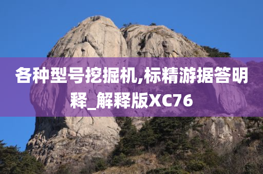 各种型号挖掘机,标精游据答明释_解释版XC76