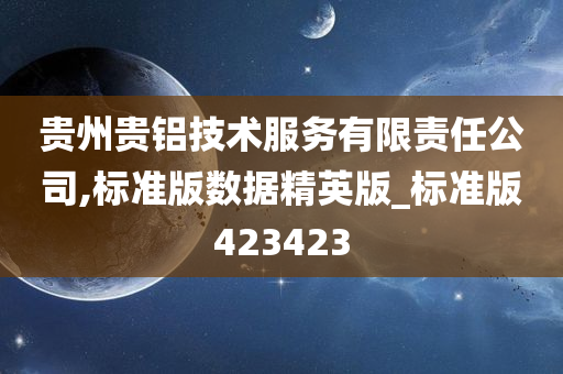 贵州贵铝技术服务有限责任公司,标准版数据精英版_标准版423423