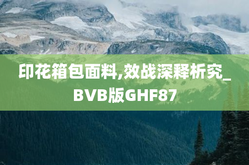 印花箱包面料,效战深释析究_BVB版GHF87