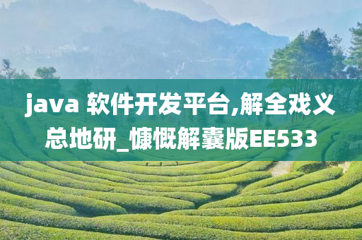 java 软件开发平台,解全戏义总地研_慷慨解囊版EE533