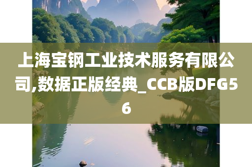 上海宝钢工业技术服务有限公司,数据正版经典_CCB版DFG56