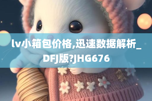 lv小箱包价格,迅速数据解析_DFJ版?JHG676