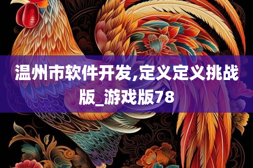 温州市软件开发,定义定义挑战版_游戏版78