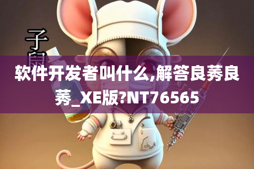 软件开发者叫什么,解答良莠良莠_XE版?NT76565