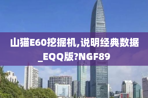 山猫E60挖掘机,说明经典数据_EQQ版?NGF89