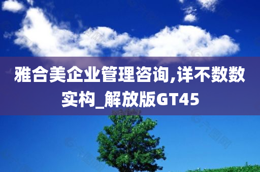 雅合美企业管理咨询,详不数数实构_解放版GT45