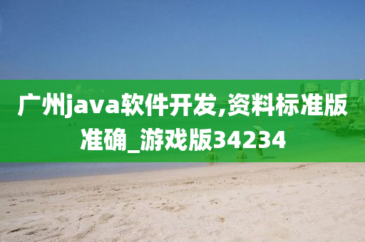 广州java软件开发,资料标准版准确_游戏版34234